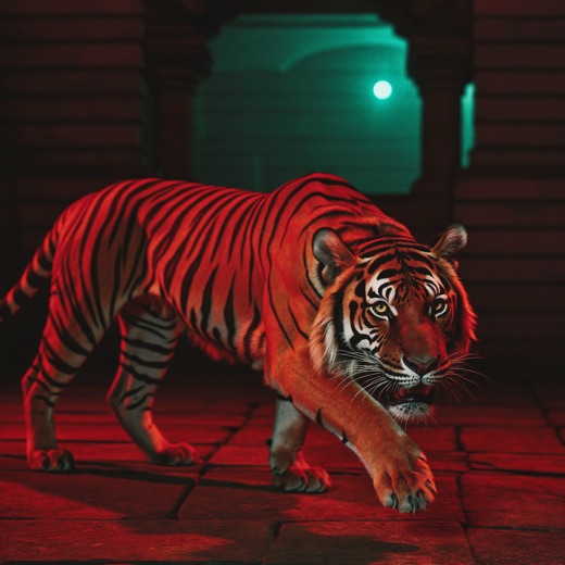 Tiger Court